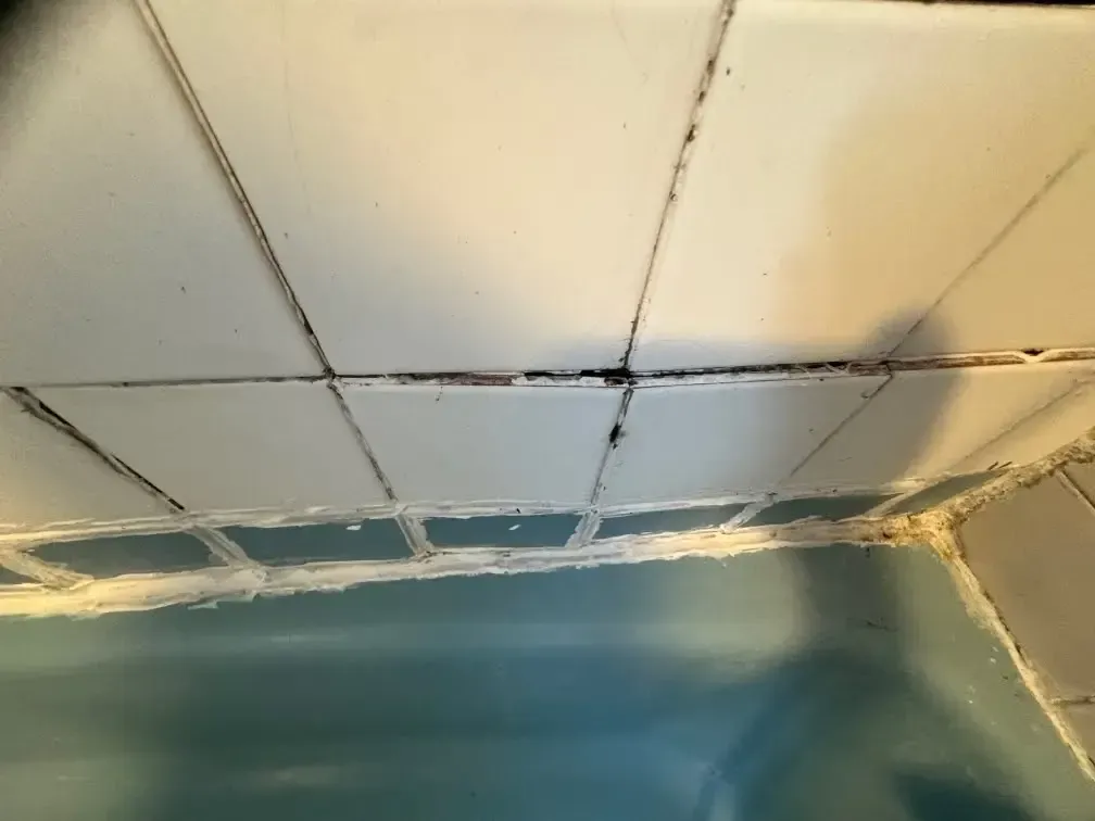 Peeling ceiling tiles with cracks above a blue wall in a corner room