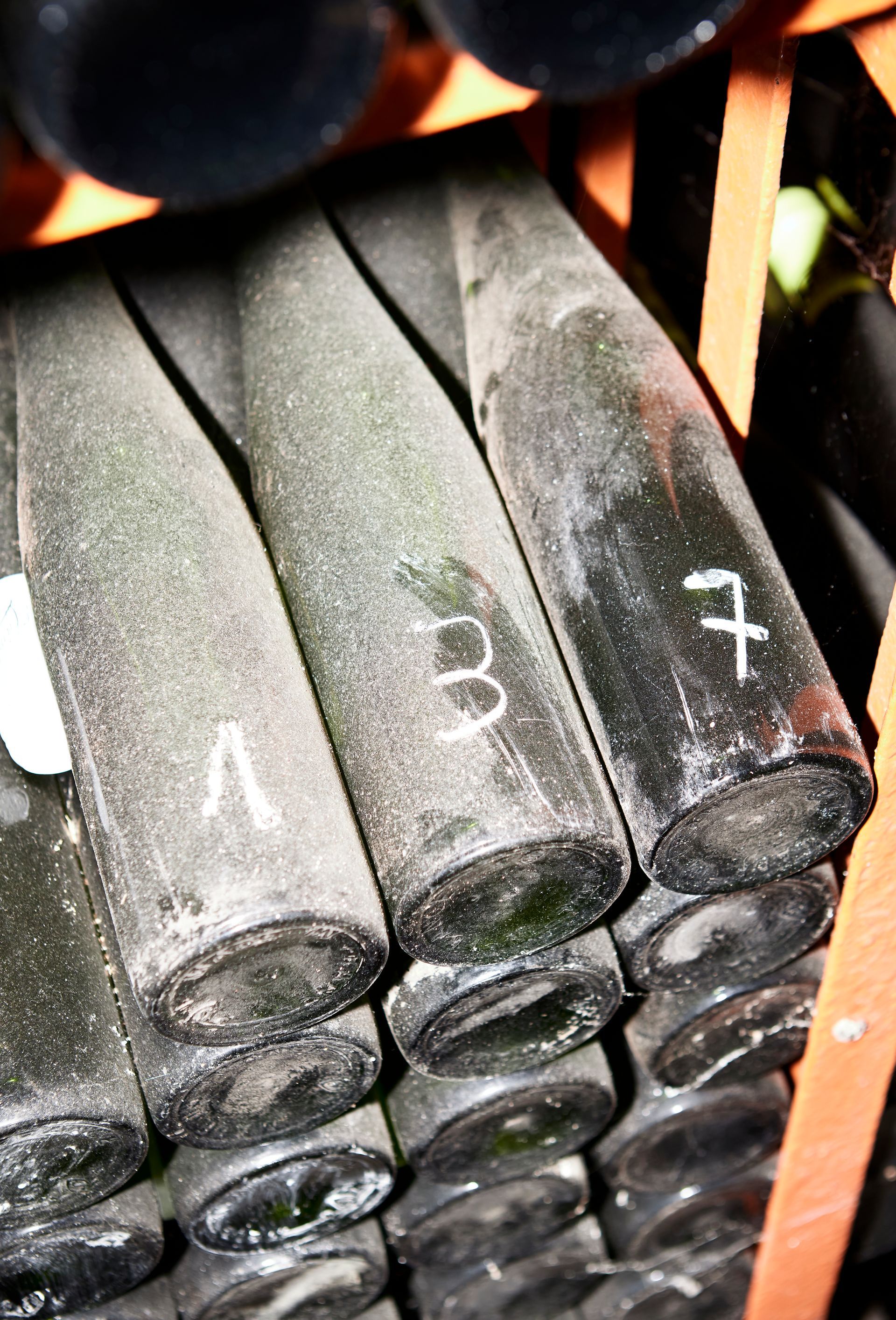 elsass cave vins