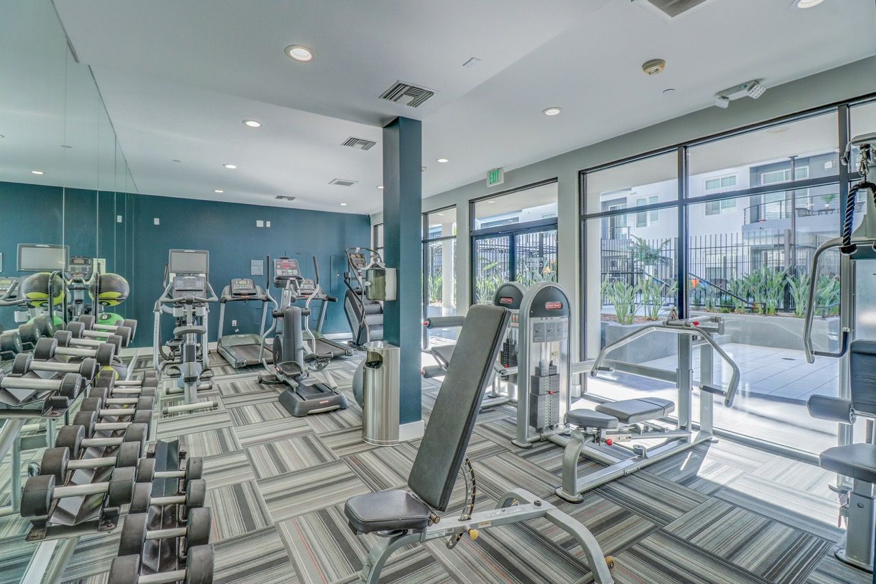 Axis community weight machines in gym