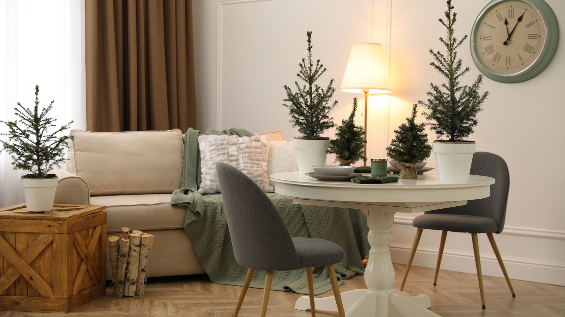 apartment with indoor plants