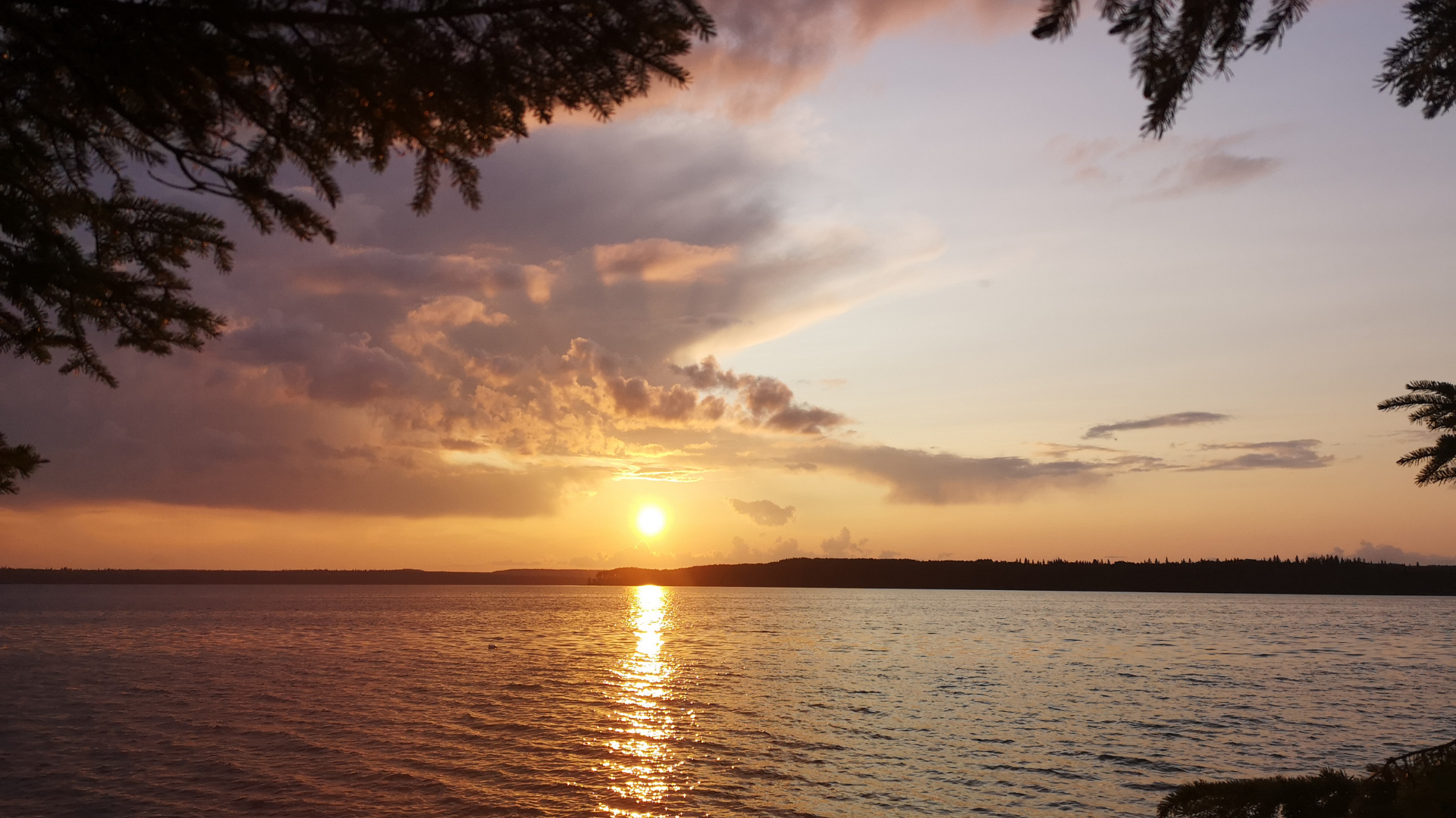 Tramonto su un lago tranquillo, con riflessi dorati e alberi che incorniciano la riva