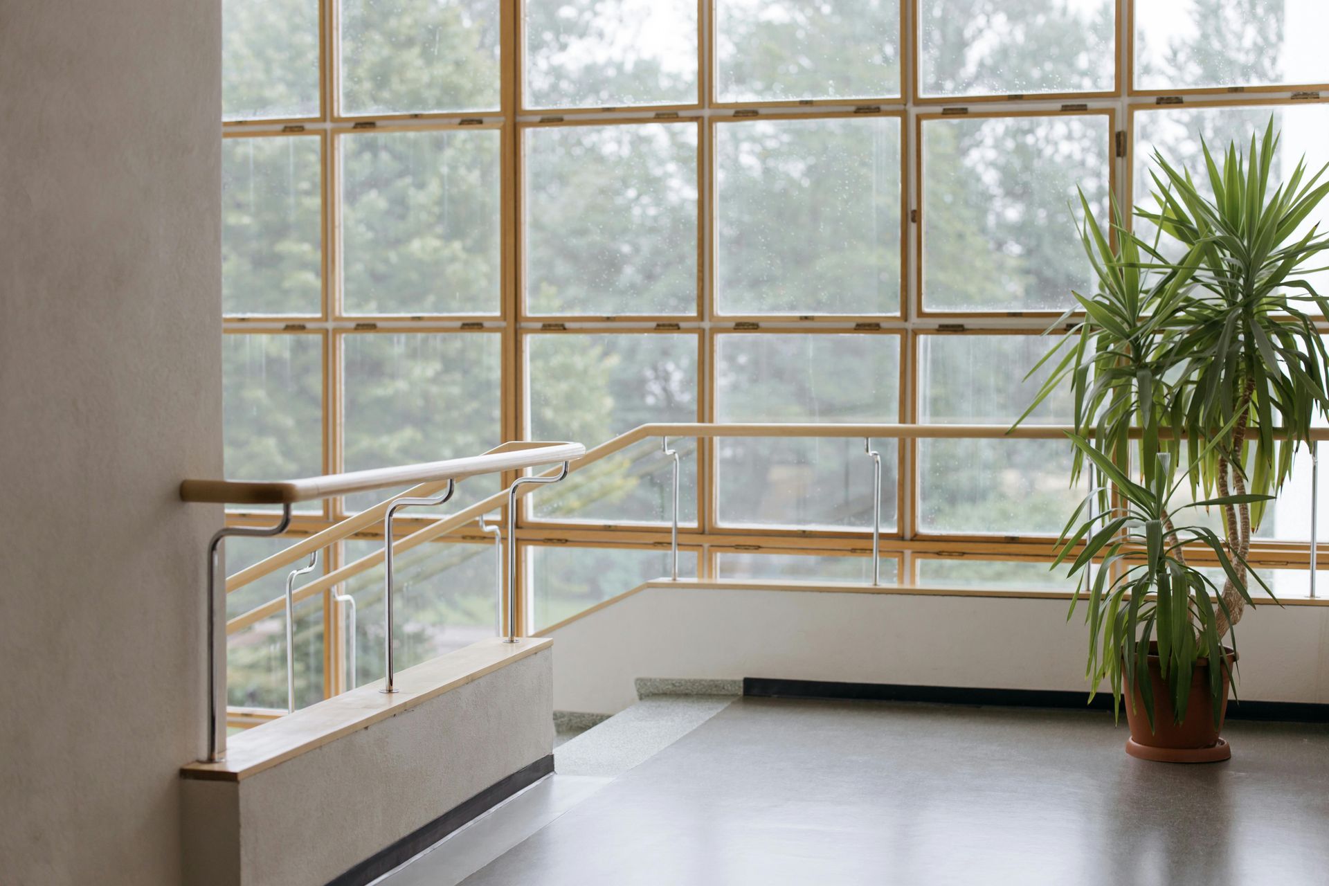 Interior view with large windows, staircase, handrails, and potted plant.