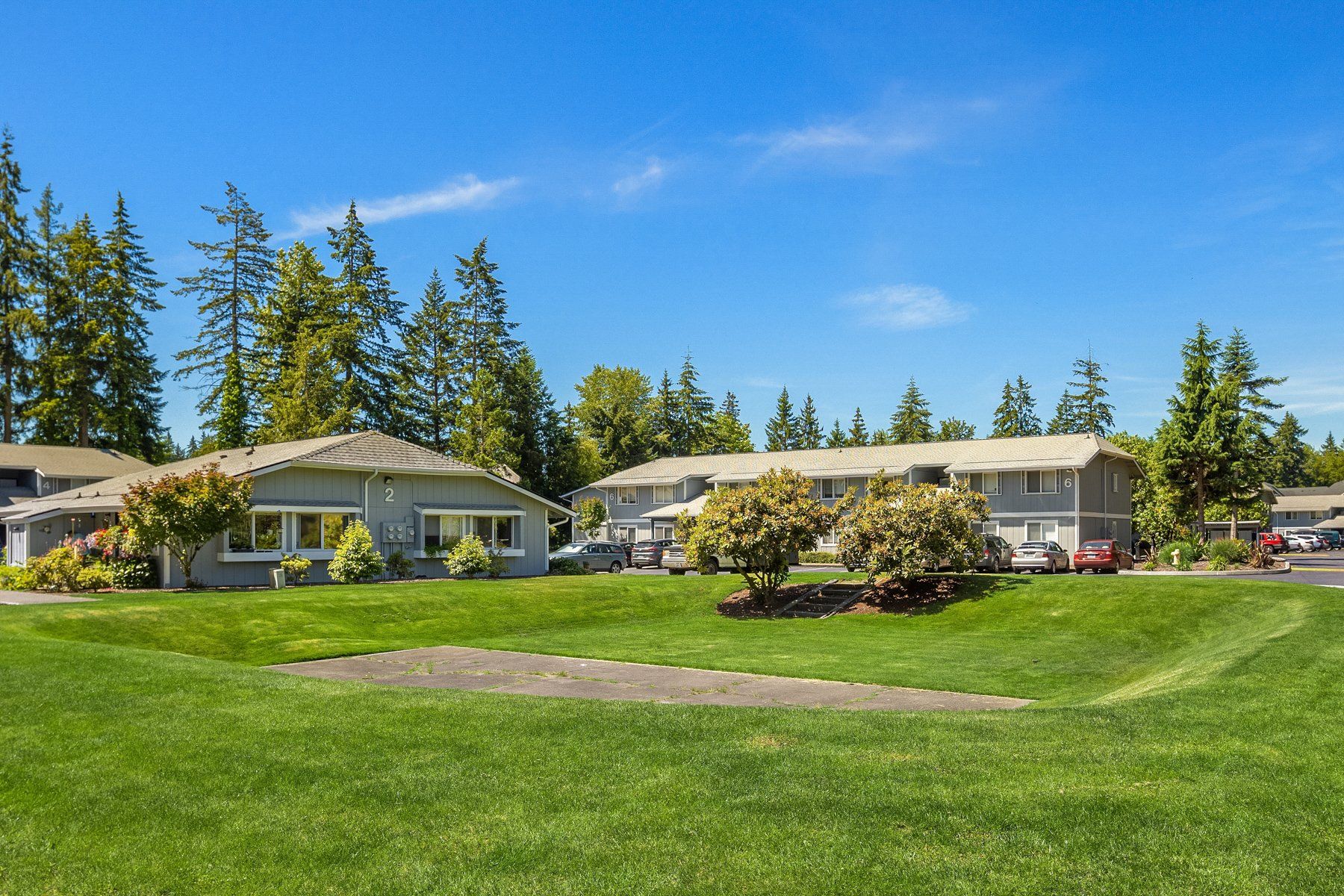 evergreen park apartments greenery area