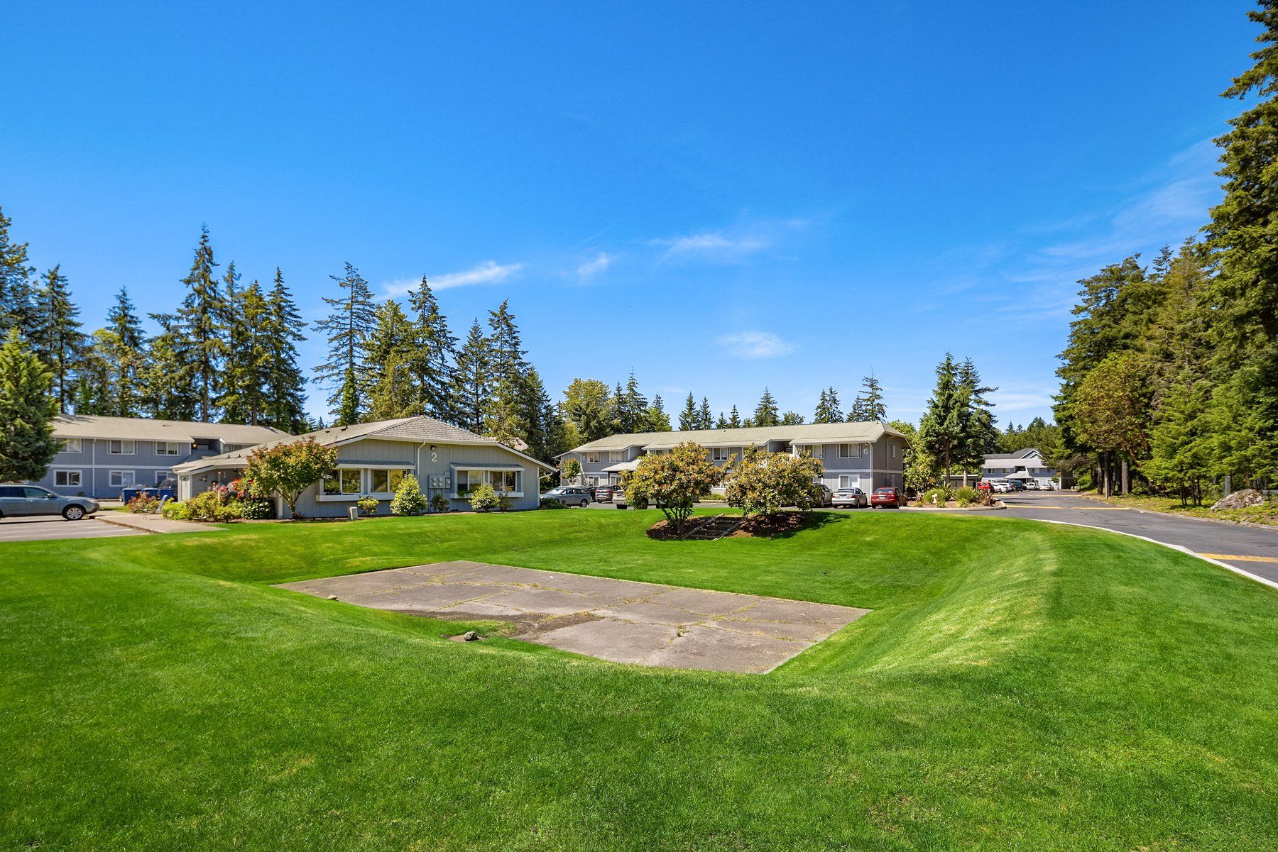 evergreen park apartments lawn