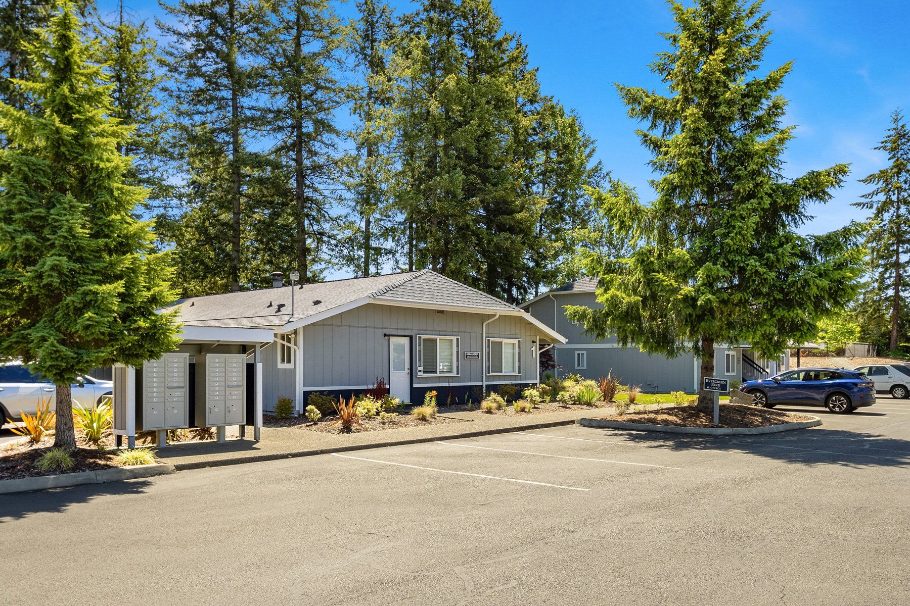 evergreen park street view