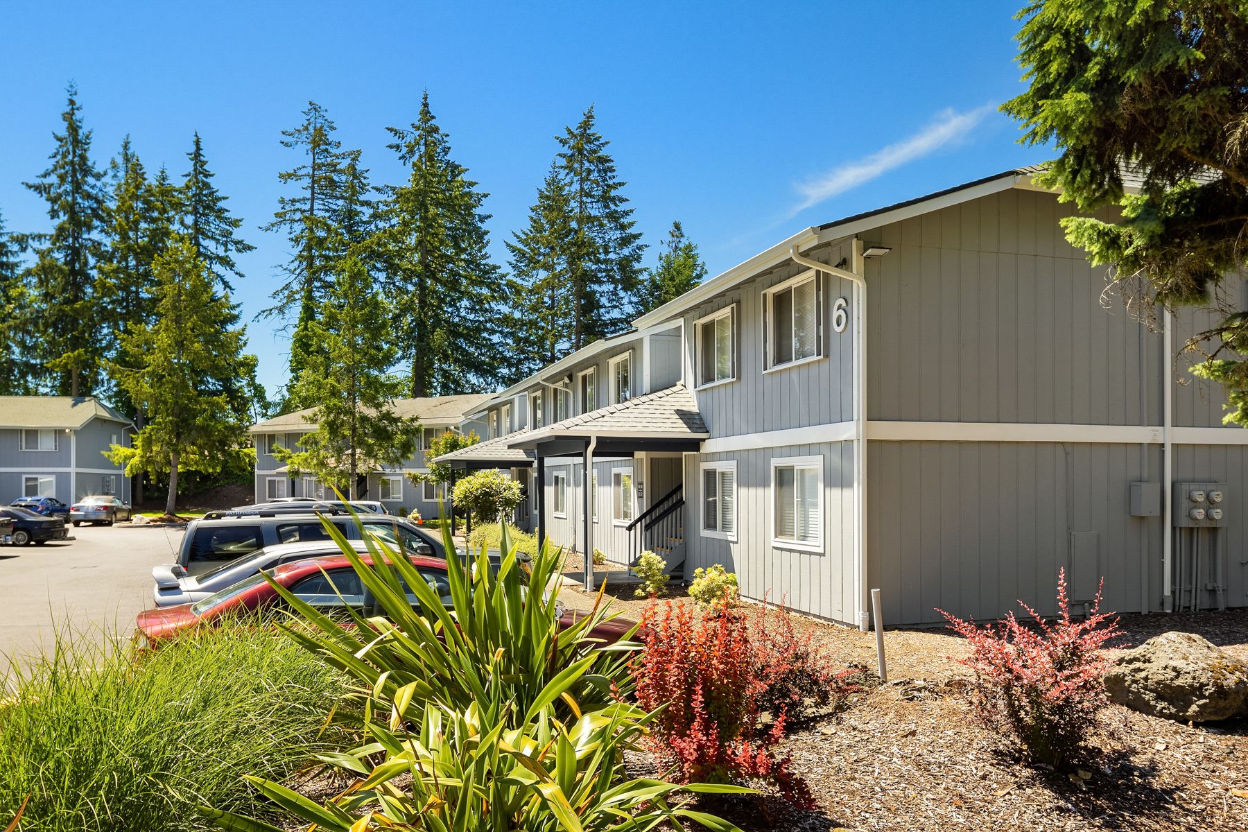 evergreen park apartments exterior with plants