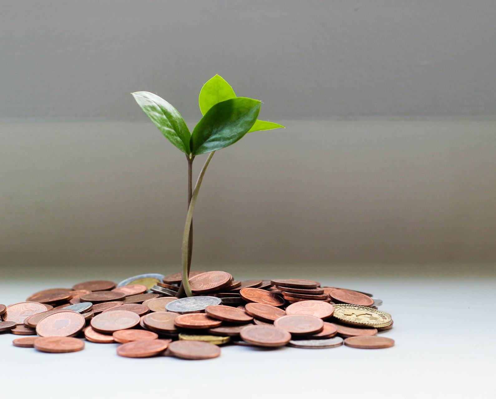 Geelong Financial Group Planning