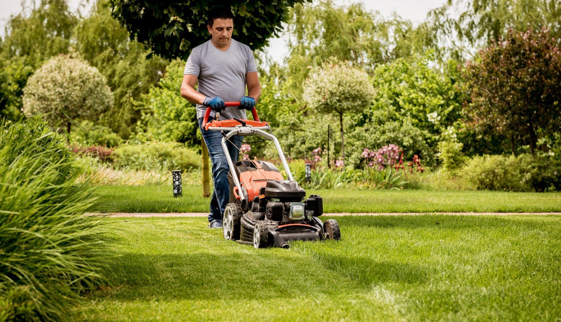 An image of Lawn Maintenance Services in Riverview FL