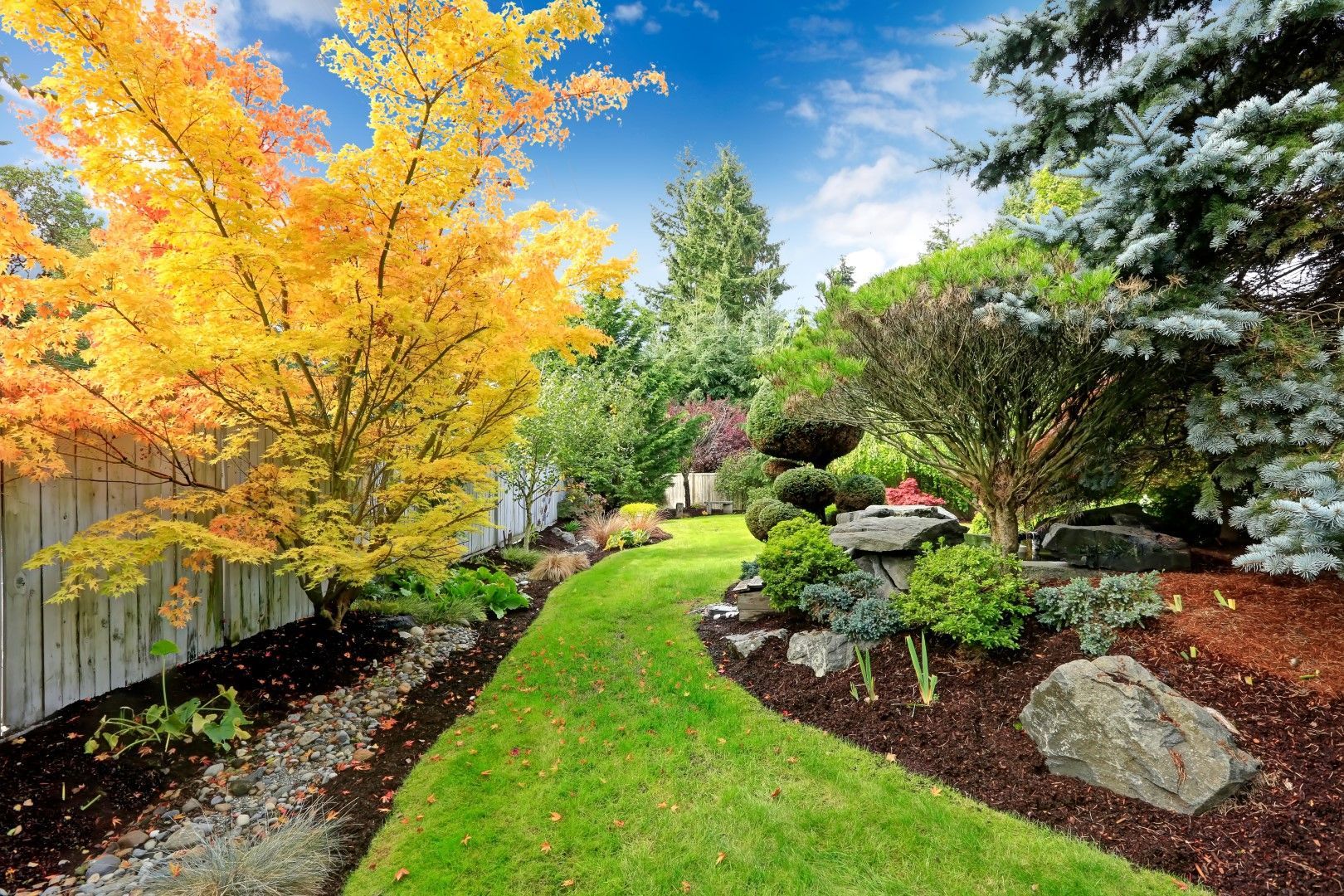 An image of Landscape/Backyard Design in Riverview FL