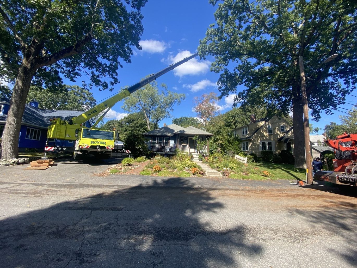 Crane trimming tree branches near a house, with blue sky and sunny day.