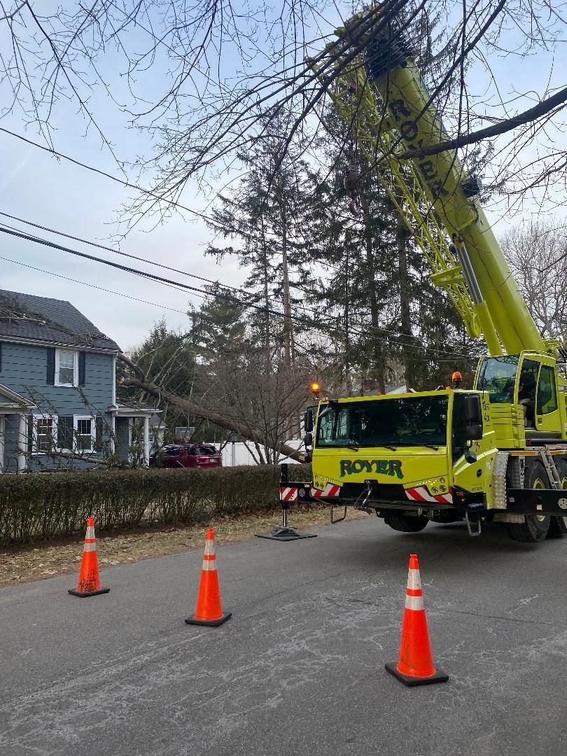 Crane trimming tree branches near power lines on a residential street. Orange traffic cones on the road.