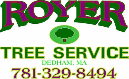 Royer Tree Service logo: Purple and green text with a tree graphic, and phone number 781-329-8494.