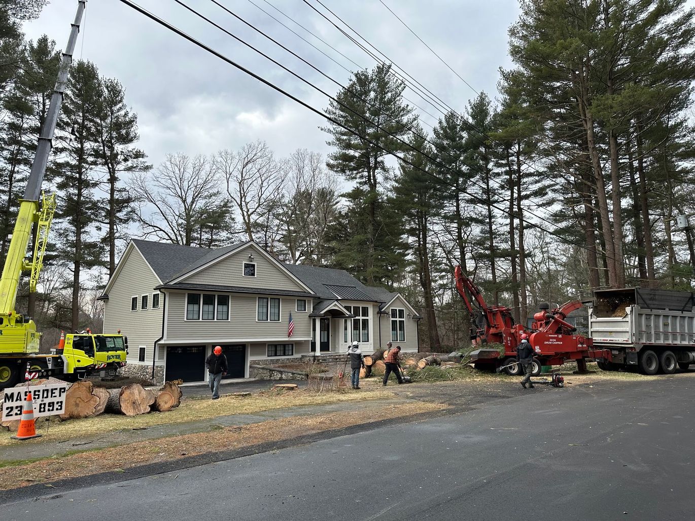 Tree removal in progress; house in background. Crane, chipper, dump truck, workers. Gray house, trees, sky, road.