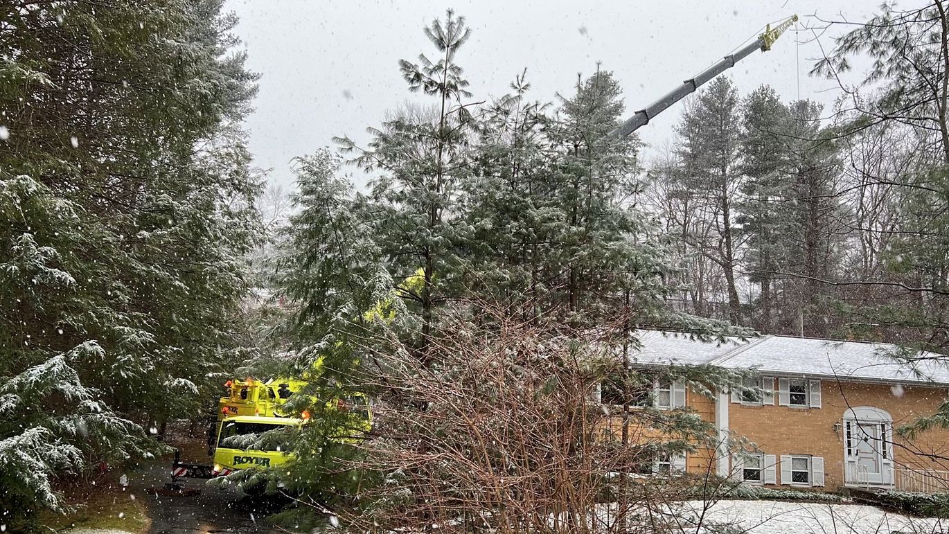 Yellow tree service truck with a crane removing a tree near a snow-covered house and falling snow.