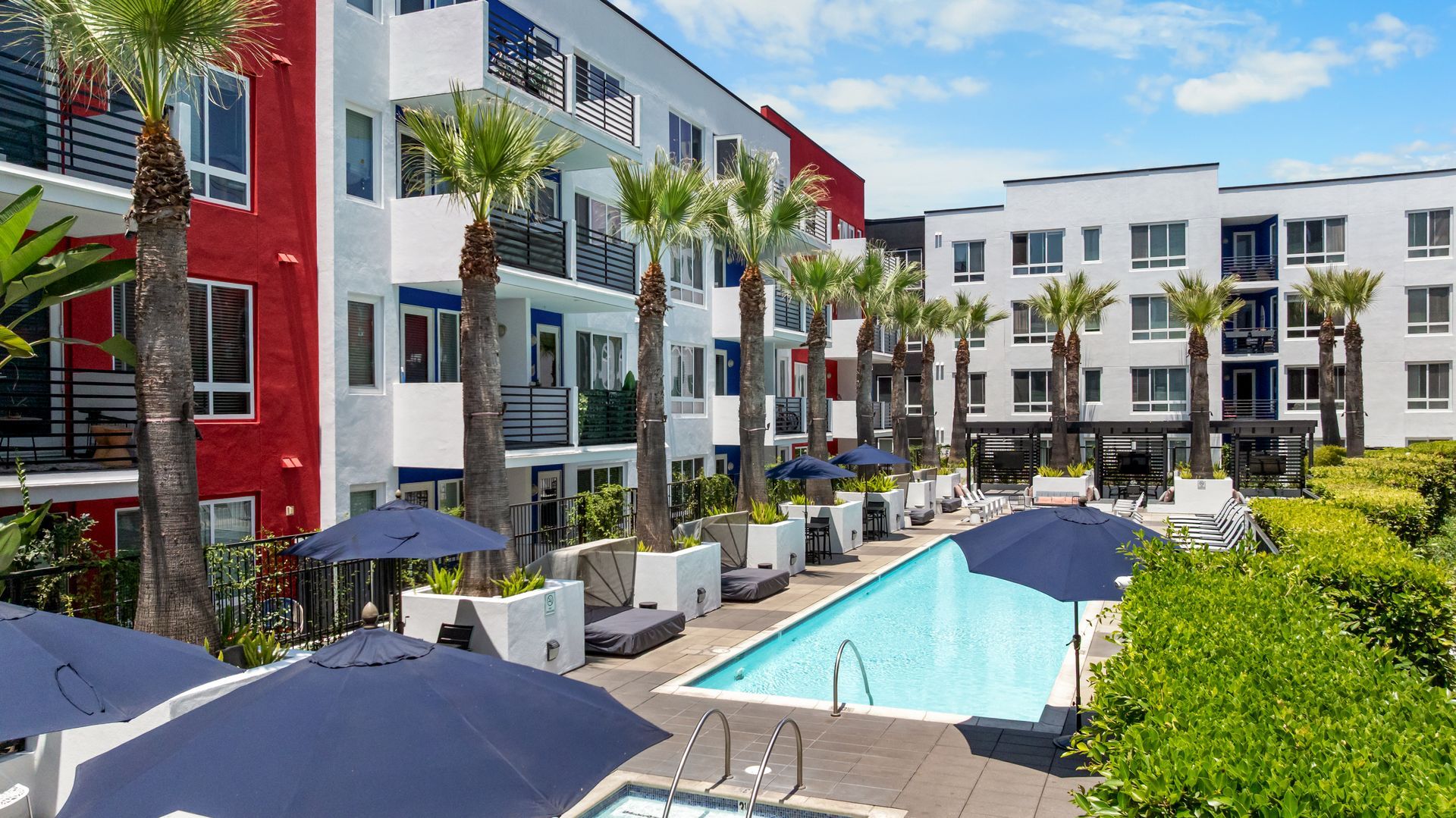swimming pool with palm trees and sun umbrellas