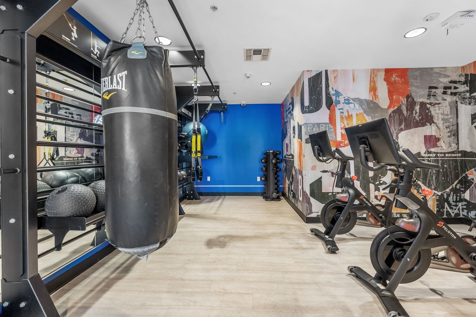 a fitness center with punching bag and pin bikes in front of a mural wall