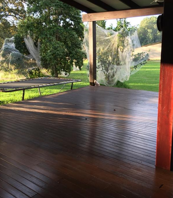 Wooden Deck Overlooking a Lawn With a Trampoline and Trees Covered — Alcando Renovations and Maintenance In Old Bar, NSW