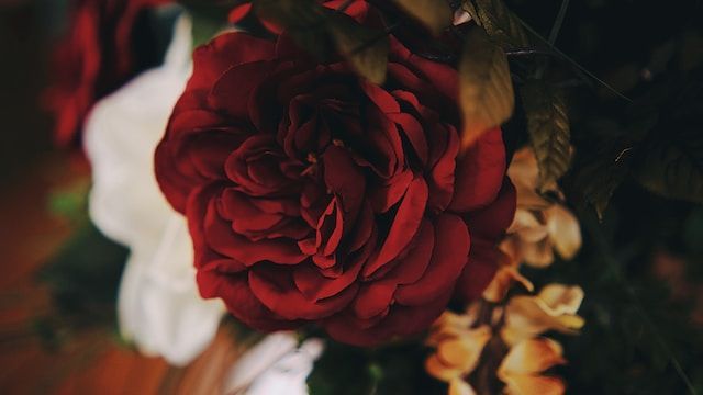 funeral homes in Cecilia, LA