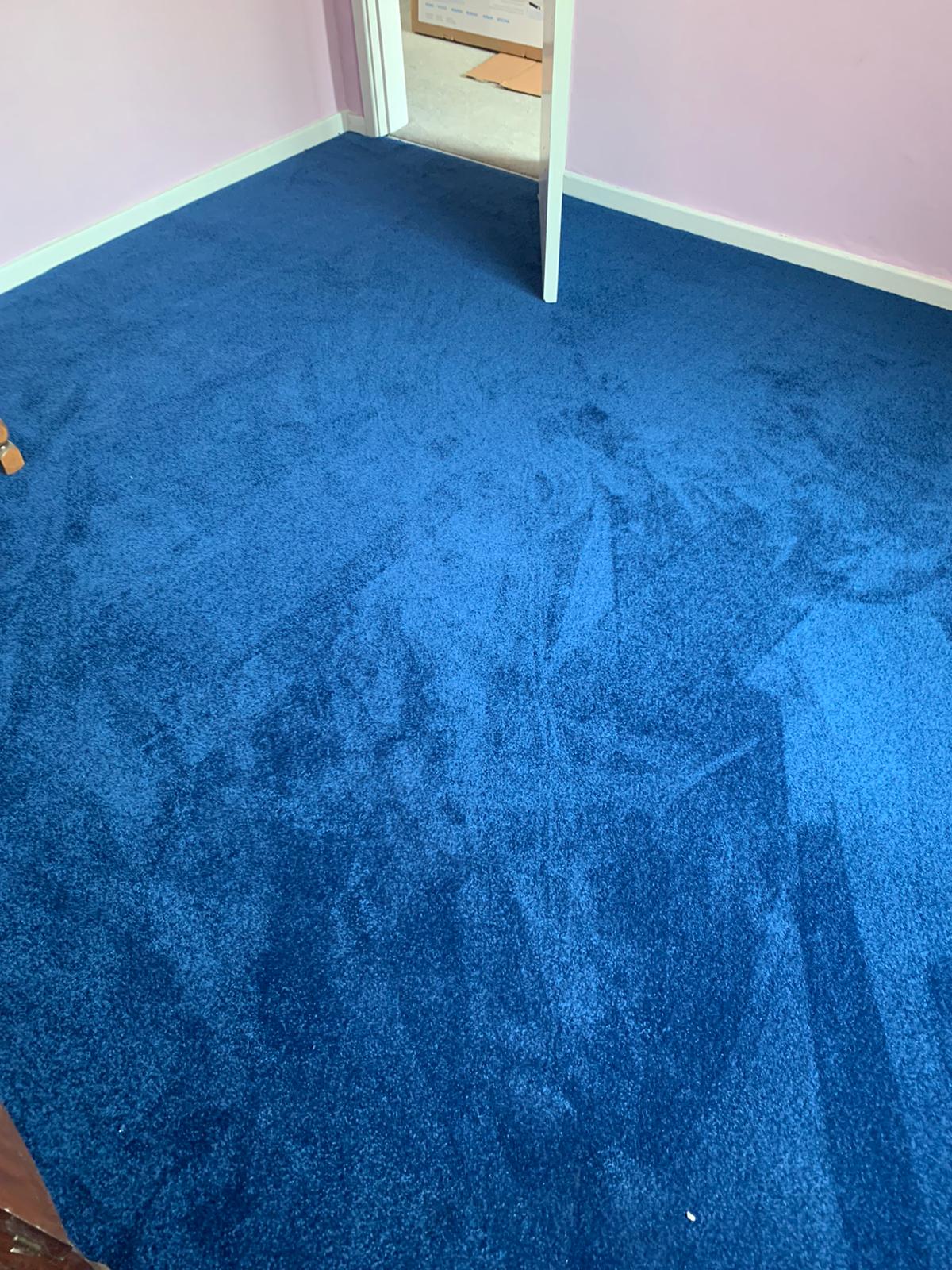 A blue carpeted floor in a room with pink walls.