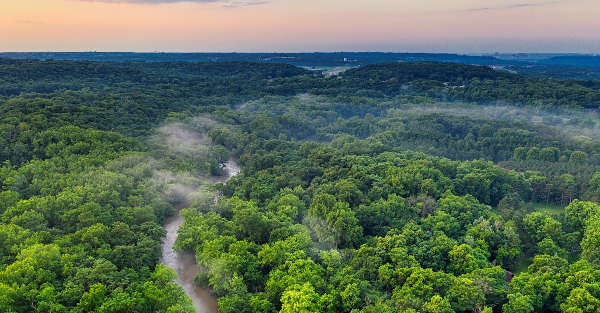 An aerial view of a river running through a lush green forest.