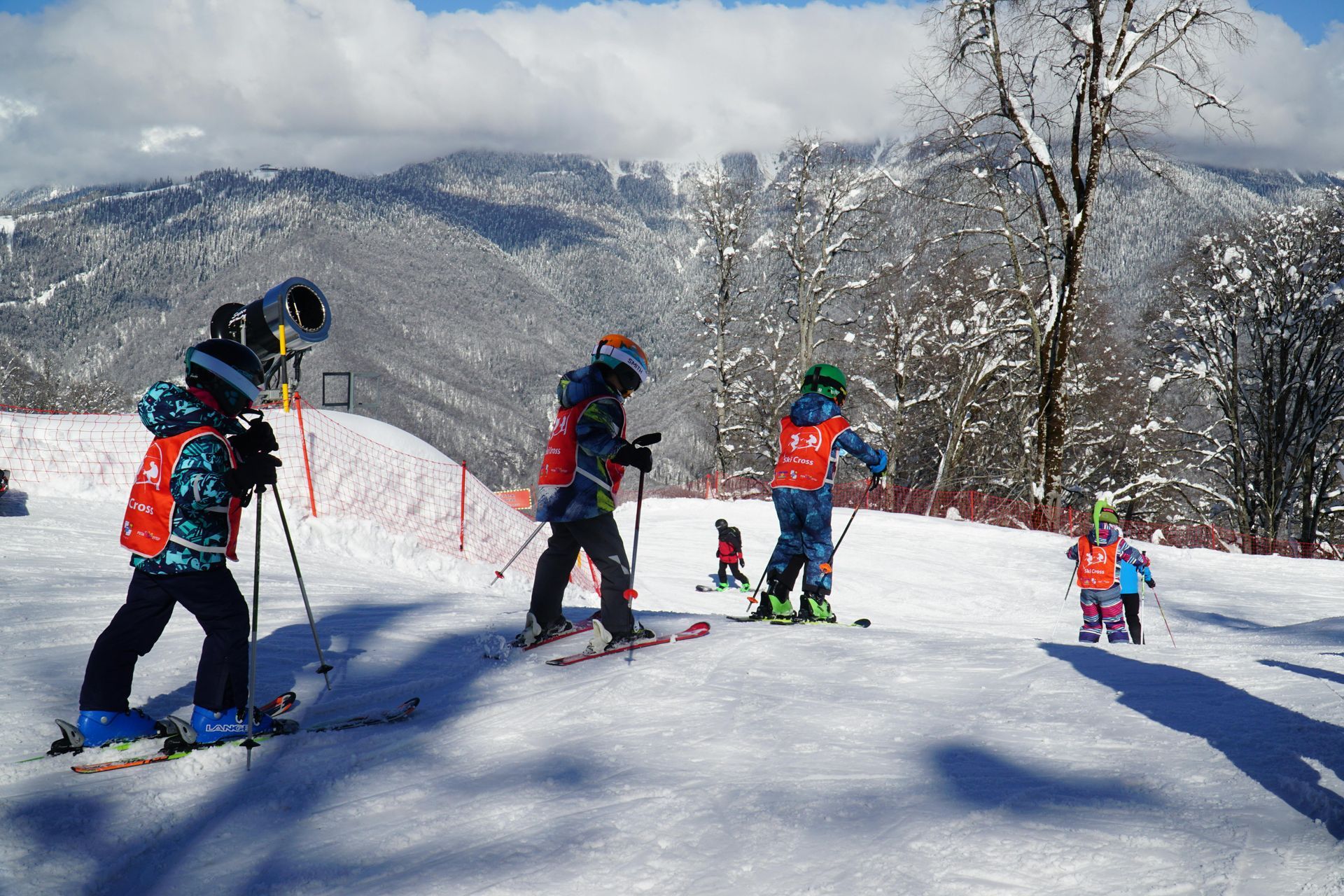 Ski Lessons
