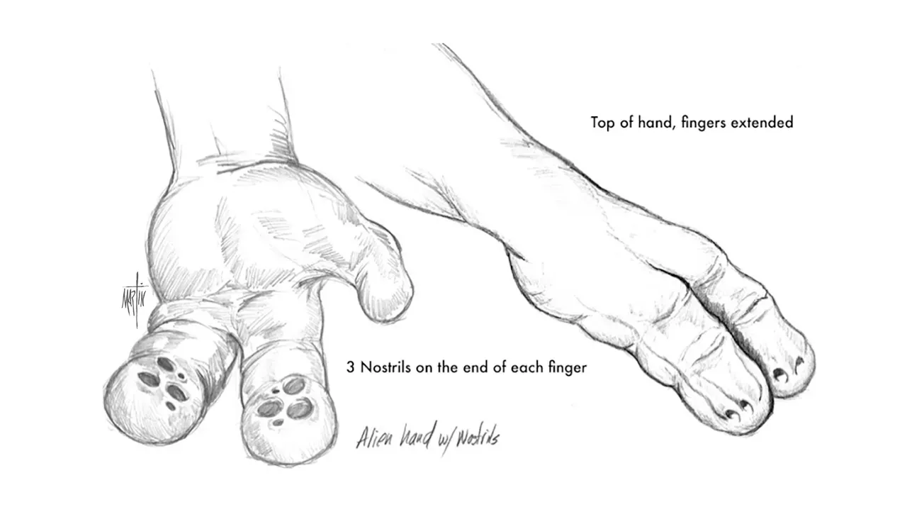 Black-and-white sketch of a baby’s hand gripping an adult finger beside a large foot and toes.