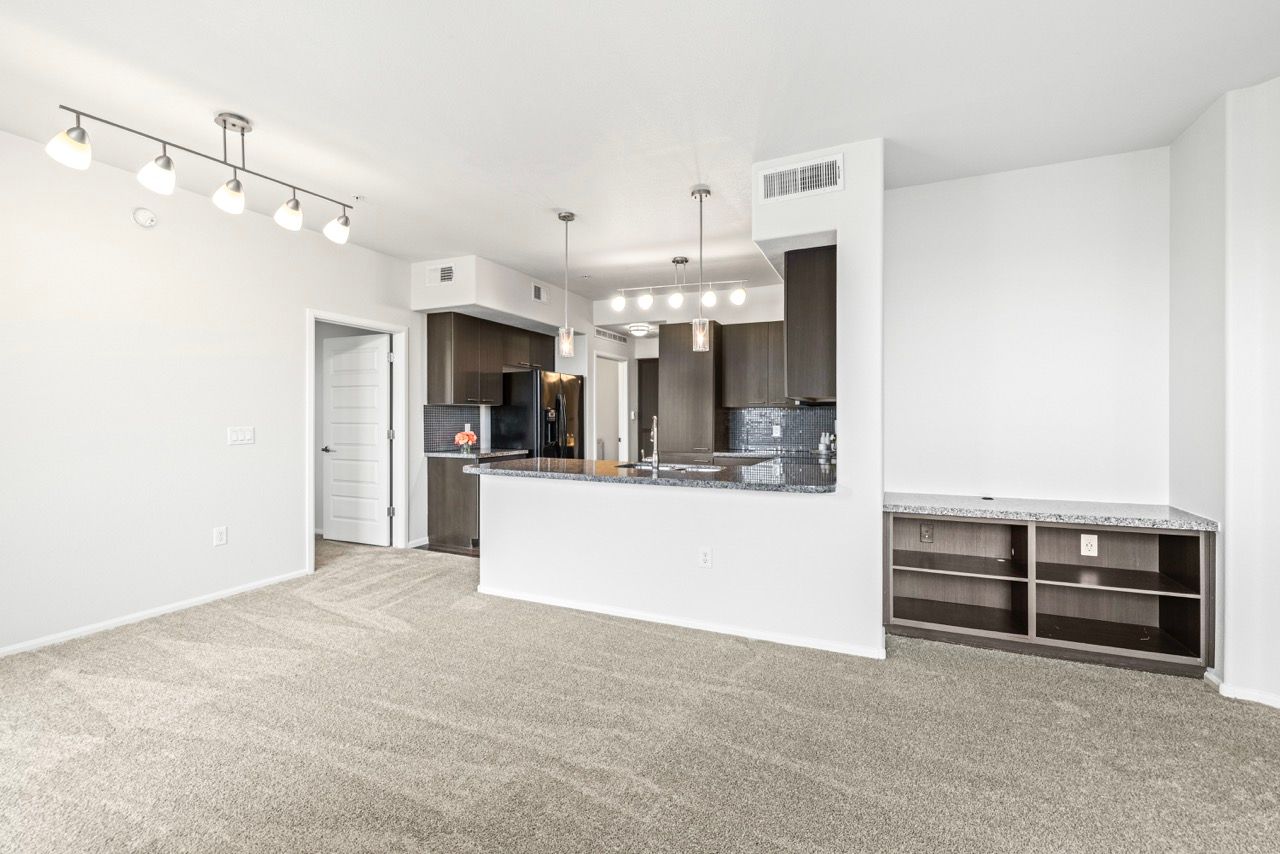 Open-concept apartment interior with kitchen island, dark cabinets, and carpeted living area.