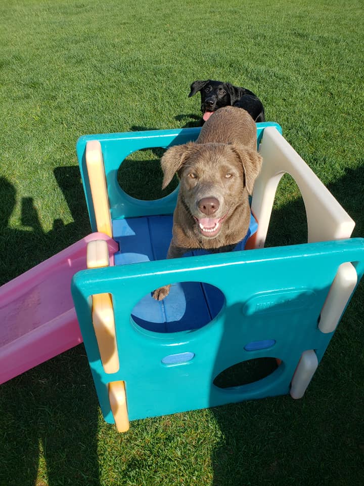 Kennel Stoughton, WI Quarry Kennels