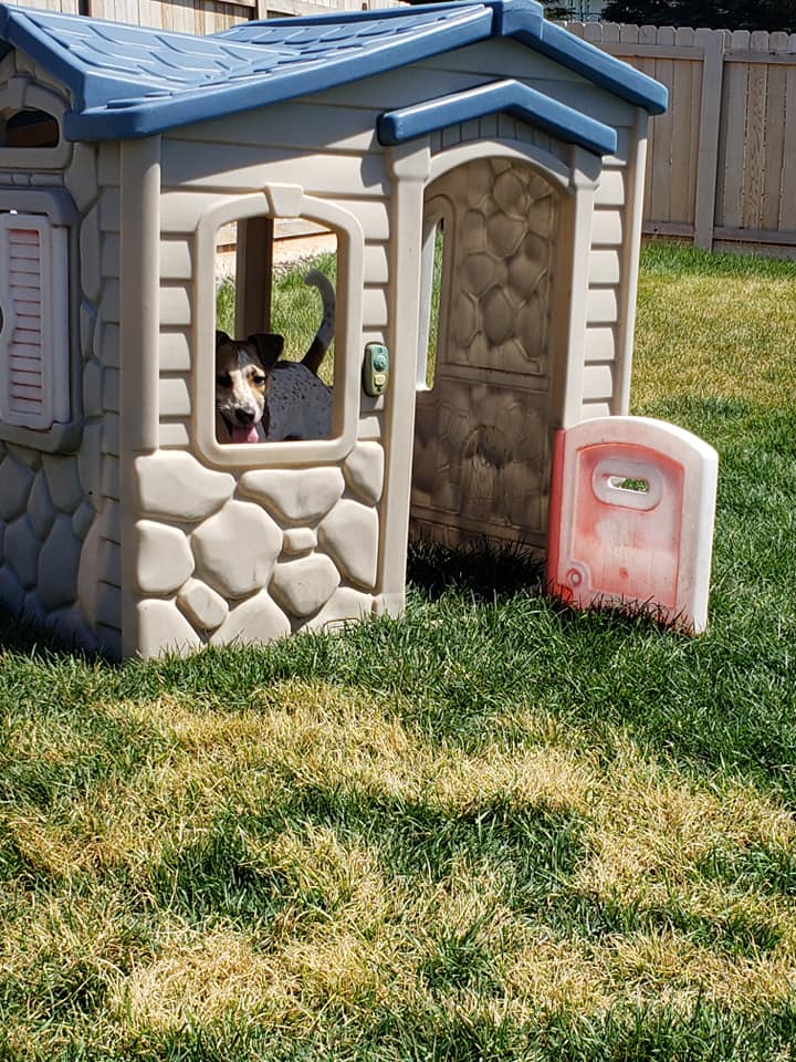 Kennel Stoughton, WI Quarry Kennels