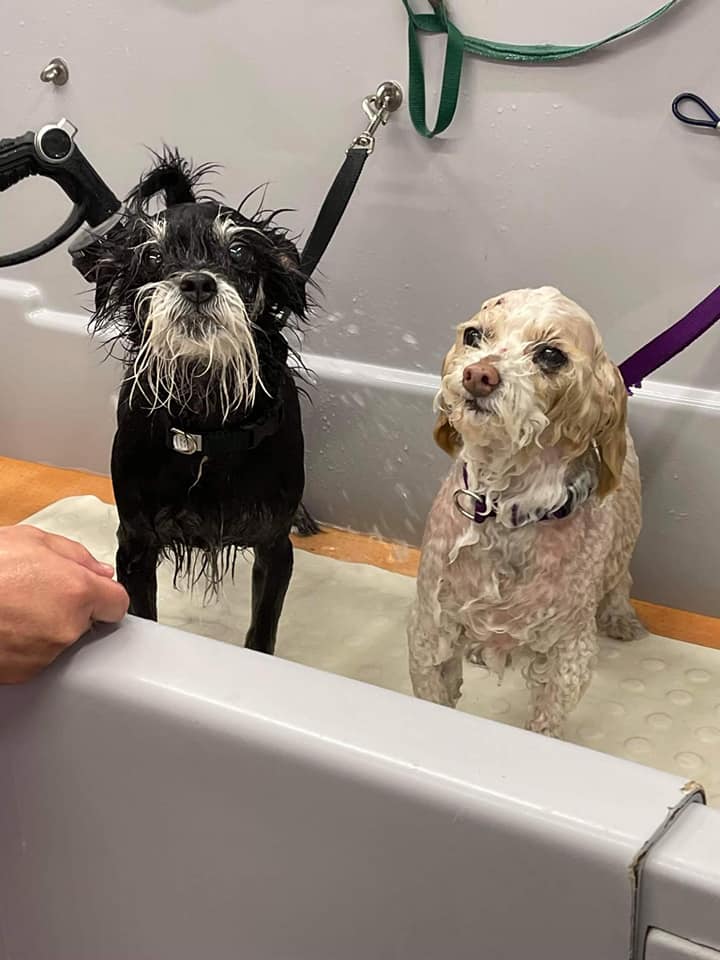 Kennel Stoughton, WI Quarry Kennels