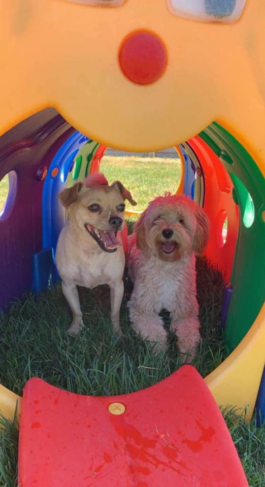 Kennel Stoughton, WI Quarry Kennels