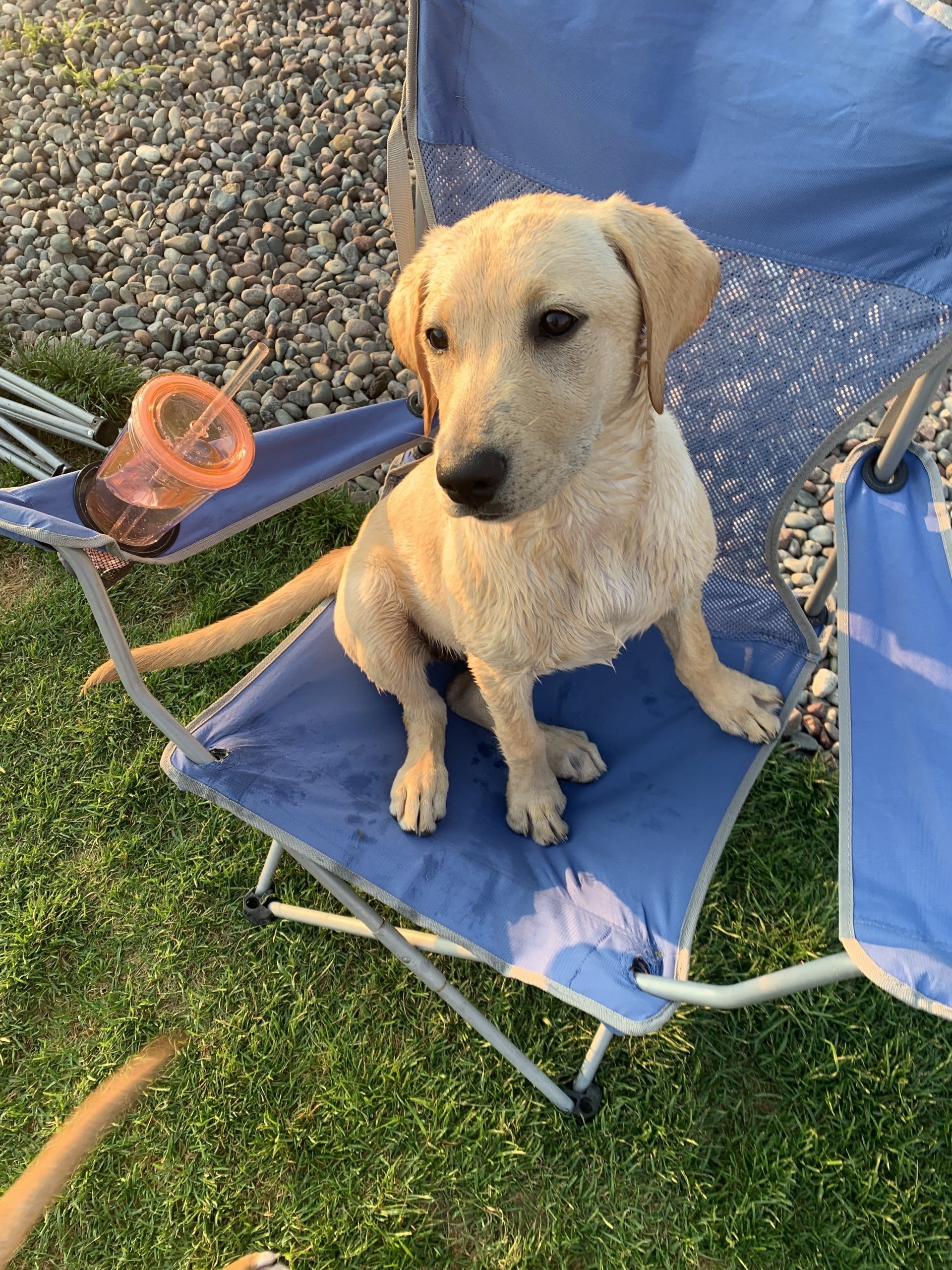 Kennel Stoughton, WI Quarry Kennels
