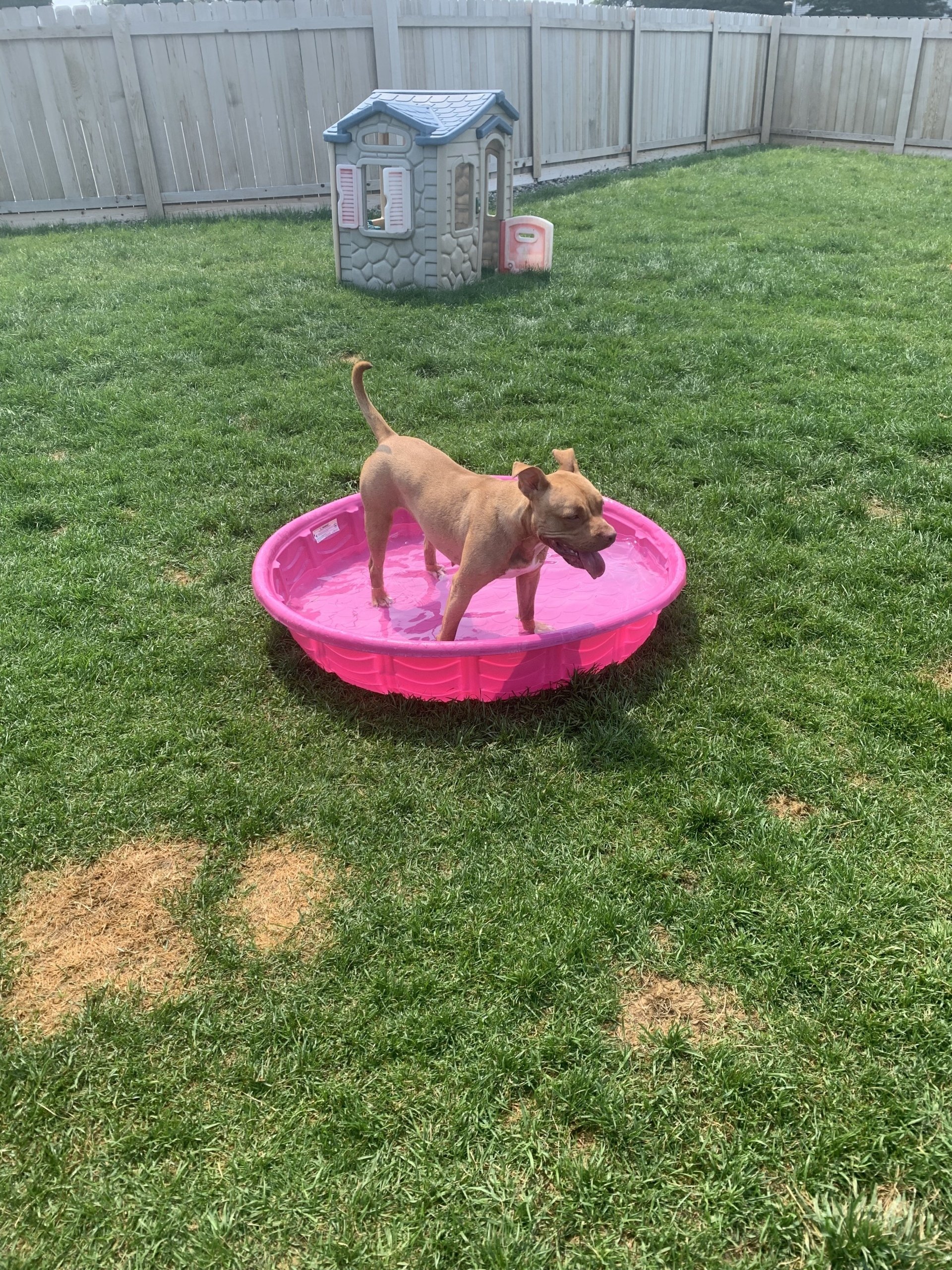 Kennel Stoughton, WI Quarry Kennels