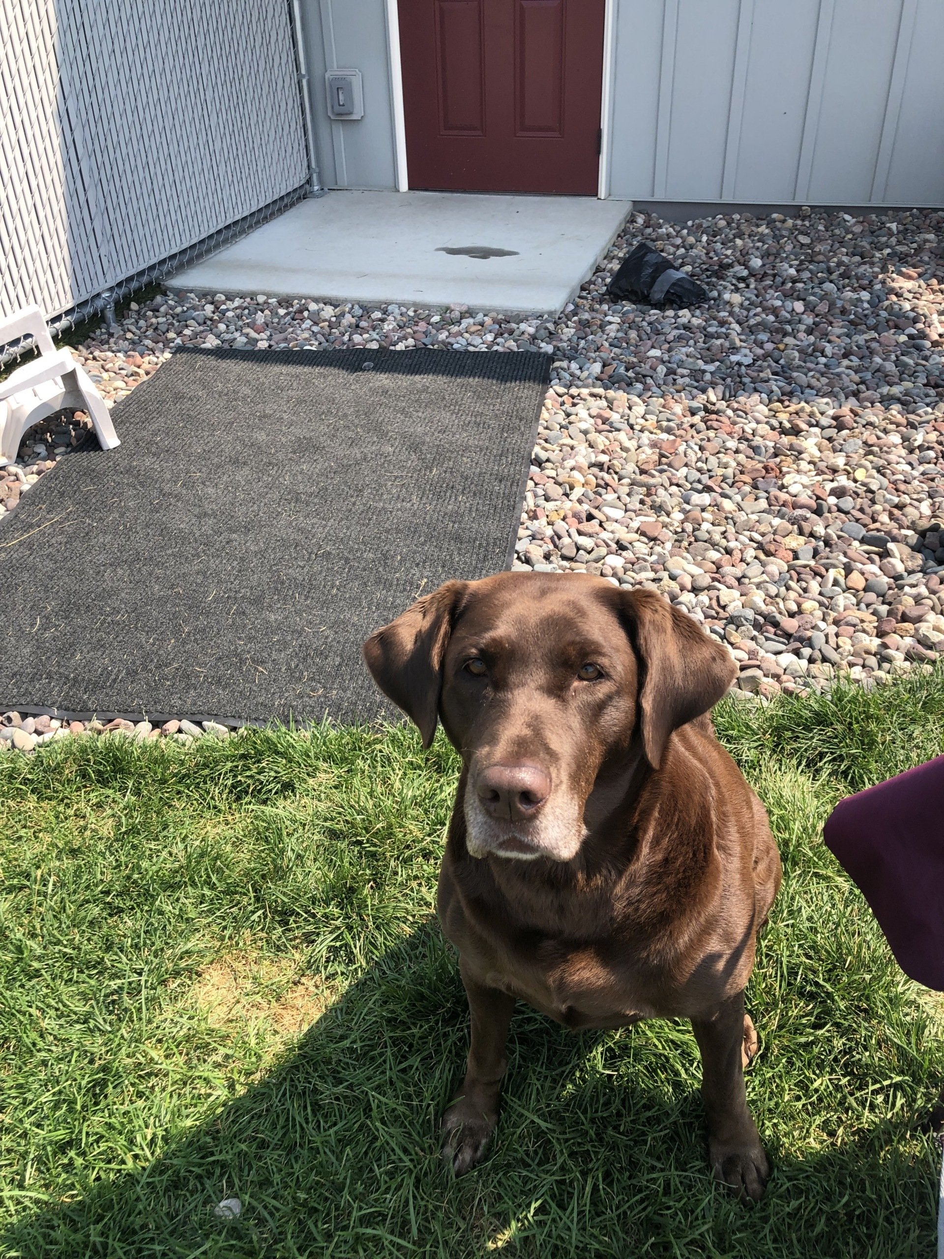 Kennel Stoughton, WI Quarry Kennels
