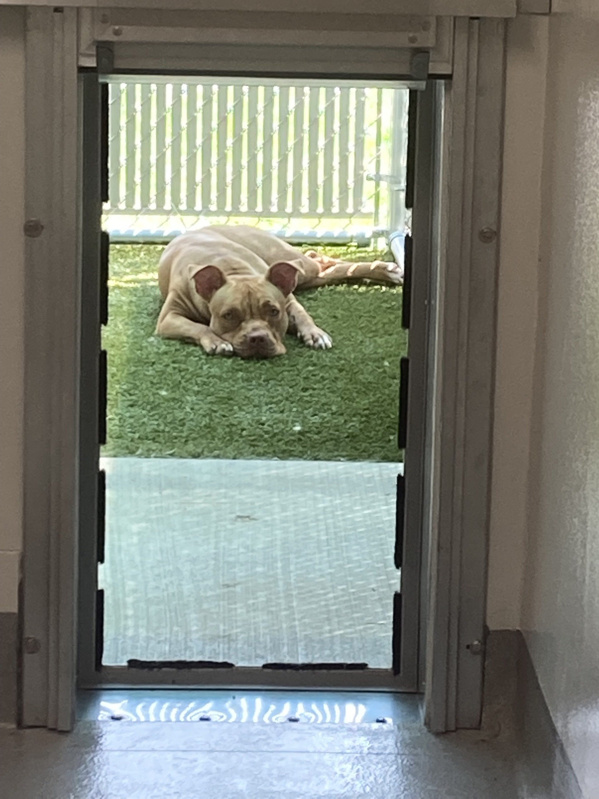Kennel Stoughton, WI Quarry Kennels