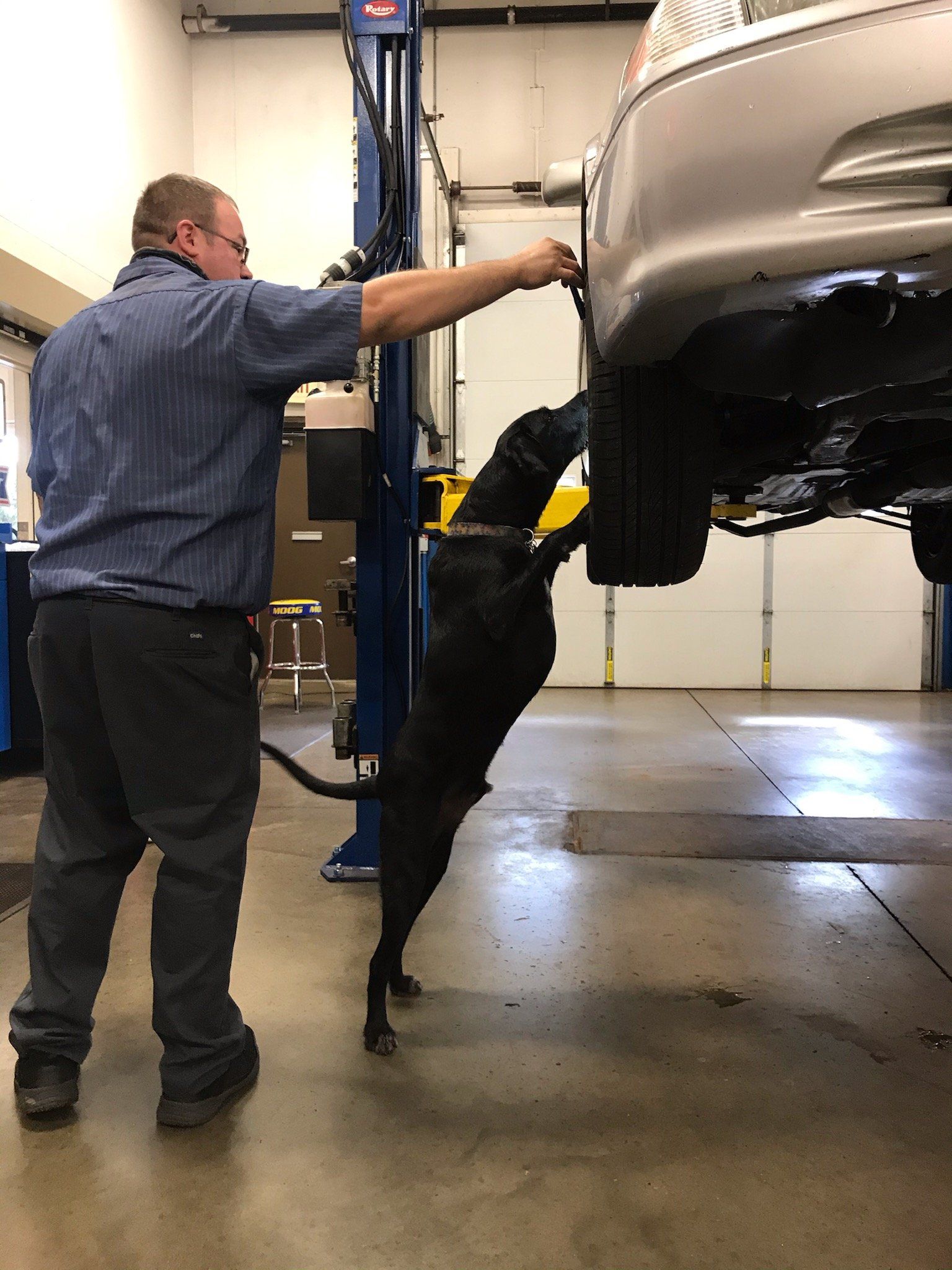Mechanic pointing at car; large black dog jumps up at car in auto shop.