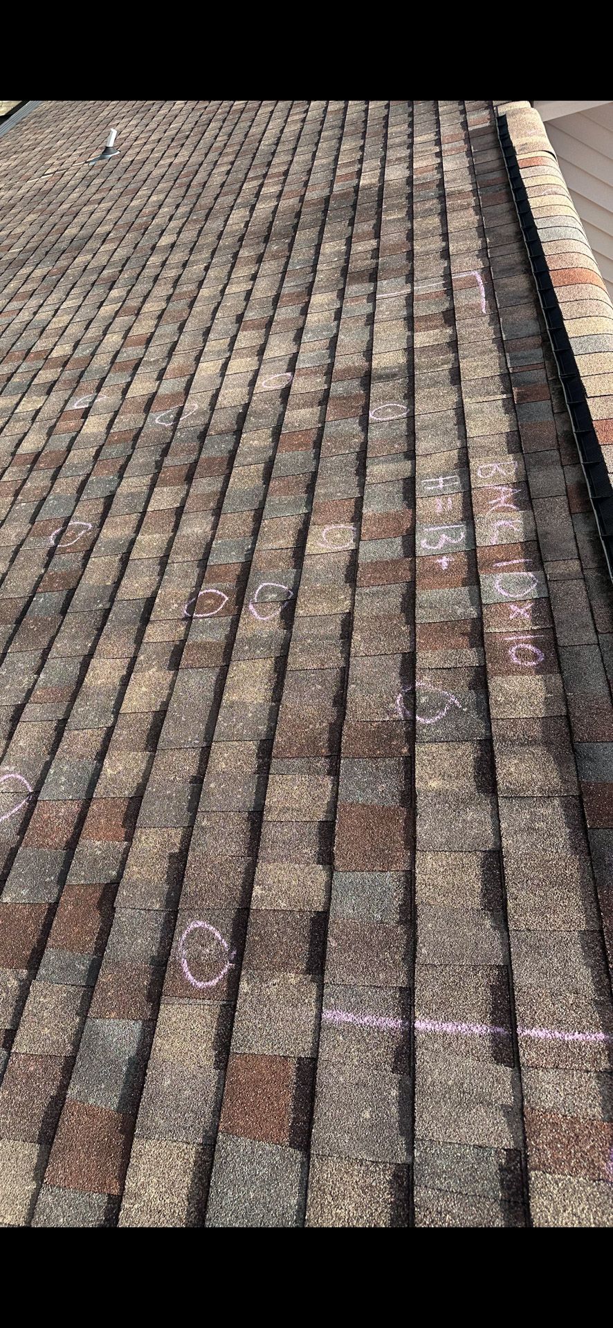 Close-up of weathered brown brick pavement with a concrete curb along the right side.