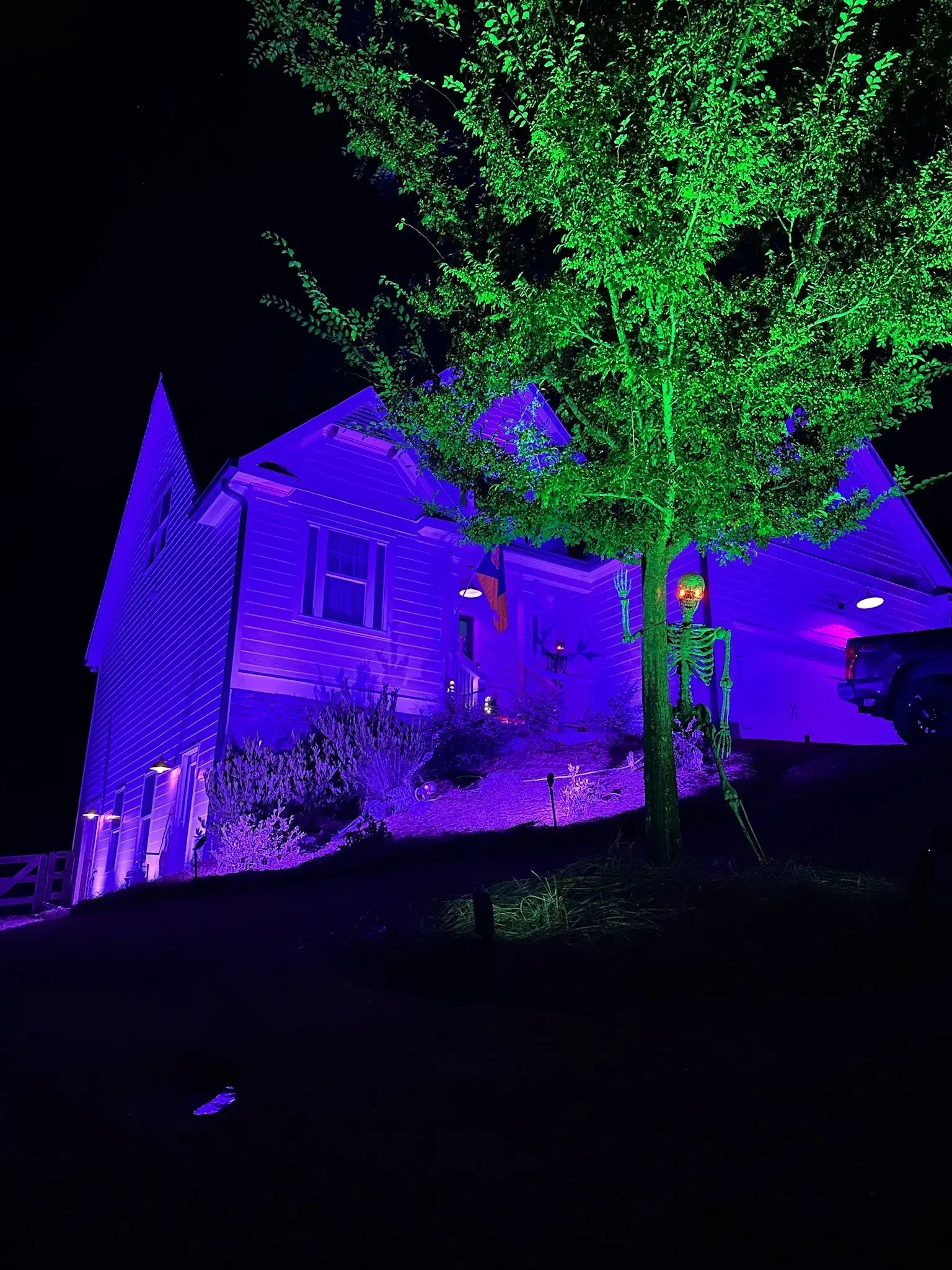 House and tree lit in purple and green at night, with a dark front yard
