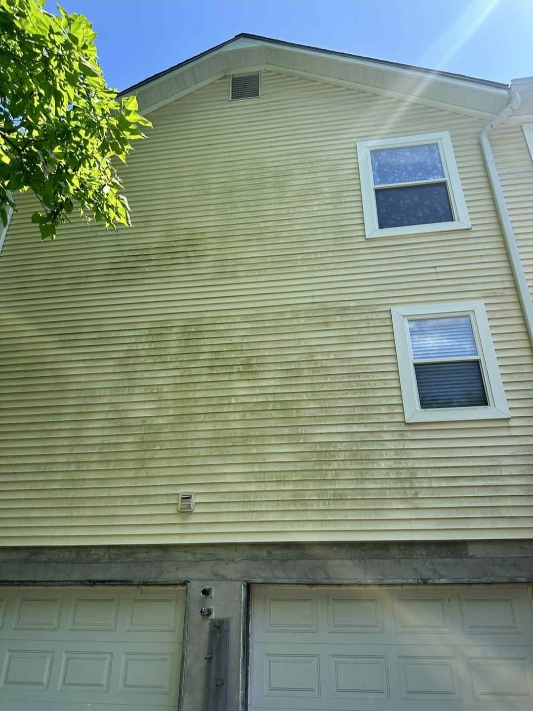 A pale yellow house exterior with two windows and visible greenish algae or mildew staining on the siding.