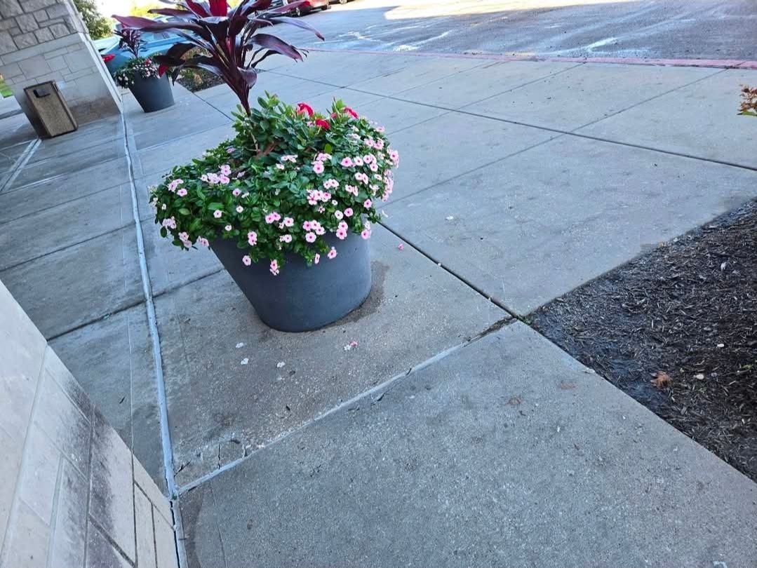 A gray planter filled with light pink and red flowers sits on a concrete sidewalk near a building exterior.