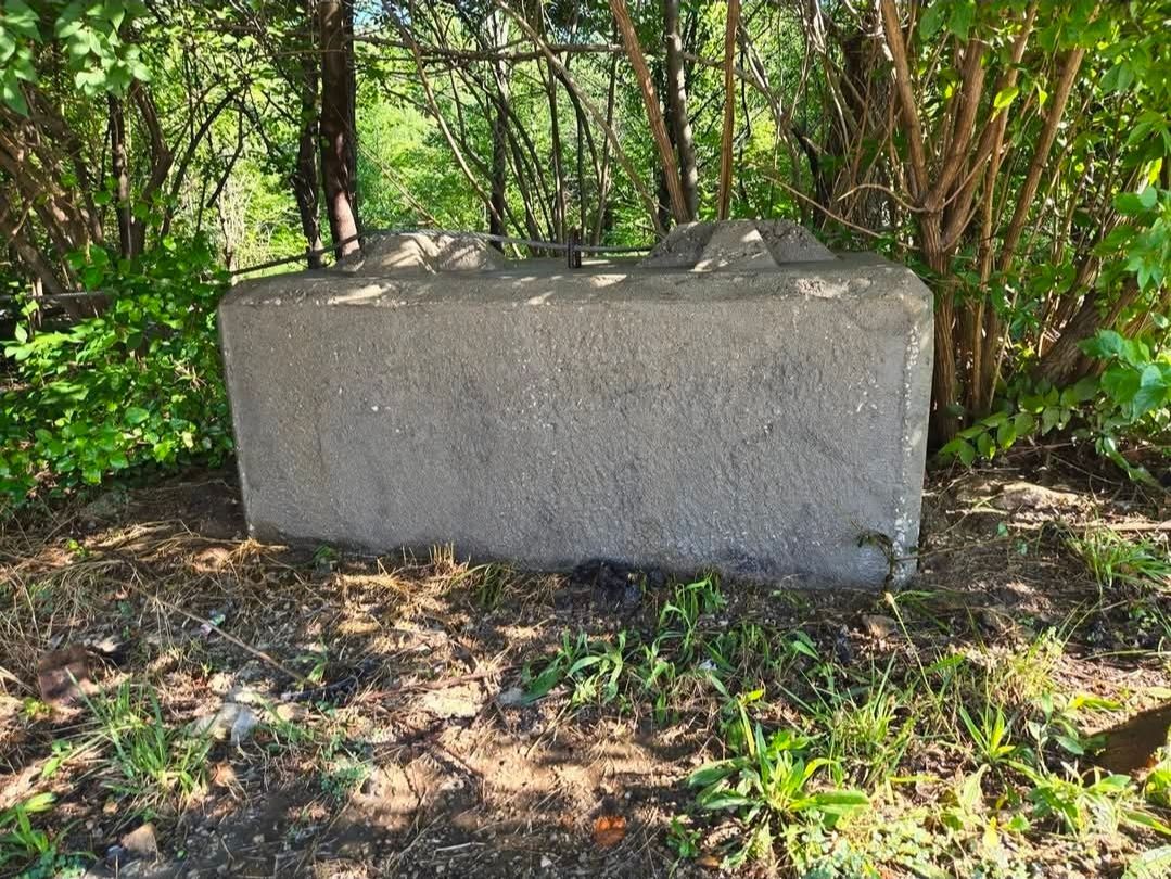 A large, rectangular concrete block sitting on the ground in a wooded area, surrounded by green foliage and leaf litter.