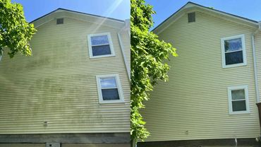 Before and after comparison of light yellow vinyl siding being cleaned of dark streaks and organic growth.