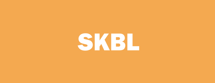 Skyline Builders Group Holding Ltd. Announces $17.775 Million Private Placement