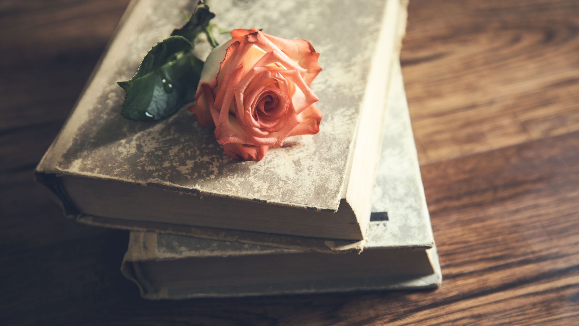 Explore 6 beautiful and moving poems by 