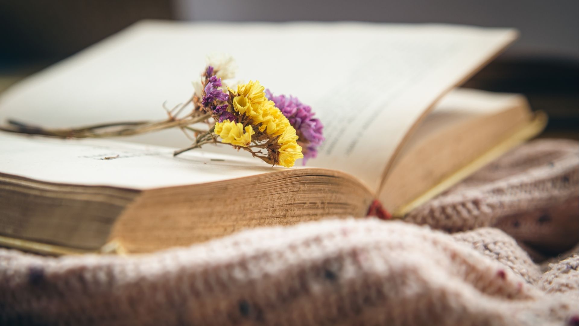 Do you need help choosing a poem for Grandma's funeral? Here are 8 poems that might fit the bill. Do you need help choosing a poem for Grandma's funeral? Here are 8 poems that might fit the bill.