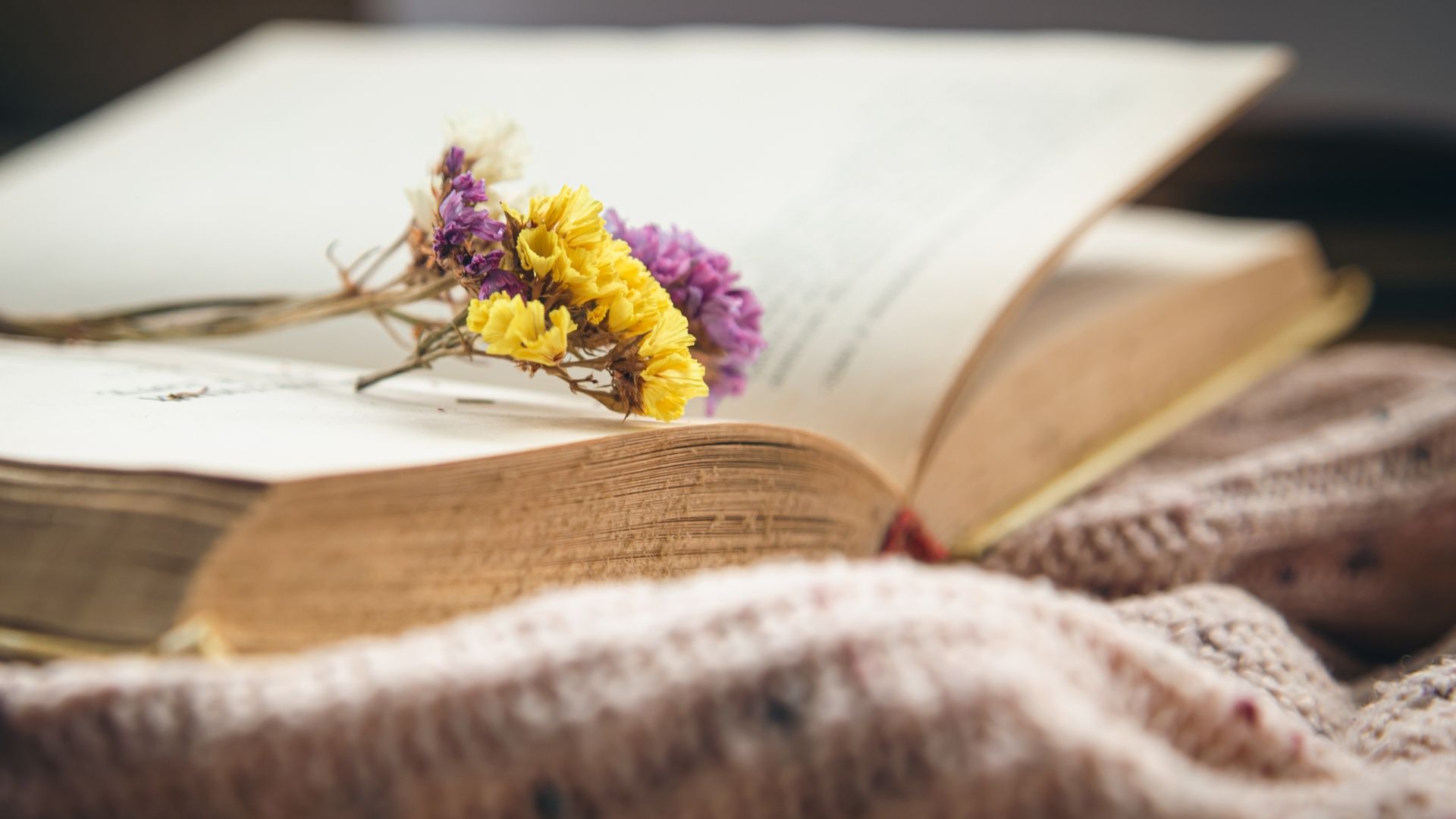 Explore 5 thoughtful choices for poems and verses to remember an auntie. All are suitable for readings, orders of service and written tributes. Explore 5 thoughtful choices for poems and verses to remember an auntie. All are suitable for readings, orders of service and written tributes.