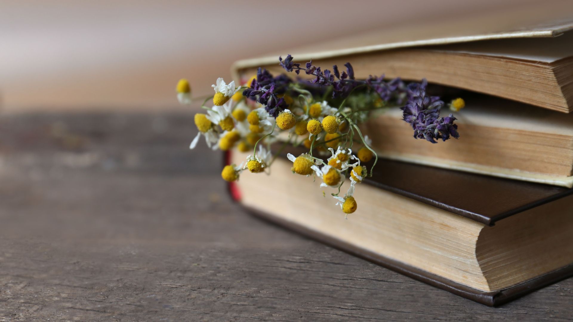 Do you want to show a grieving person that you care? Are you experiencing grief