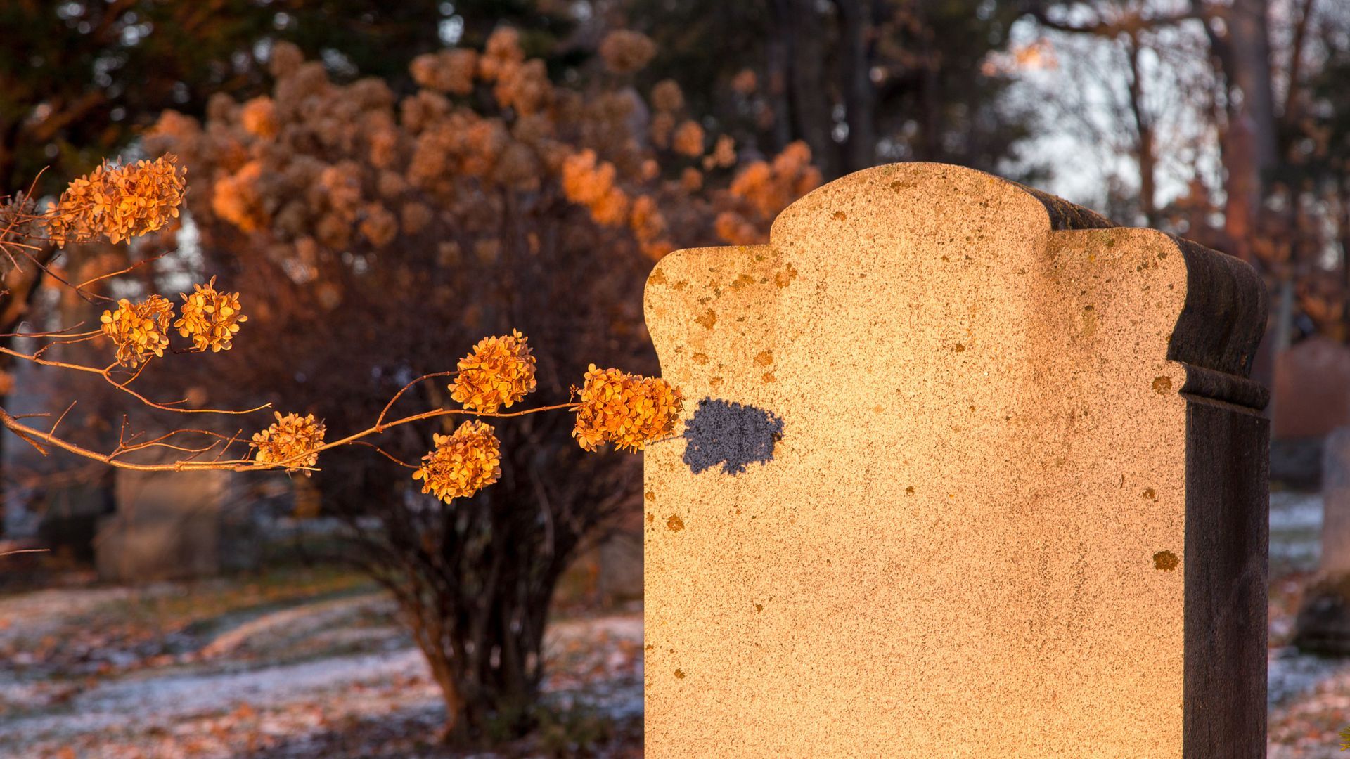 What are the different costs involved in buying a grave plot?