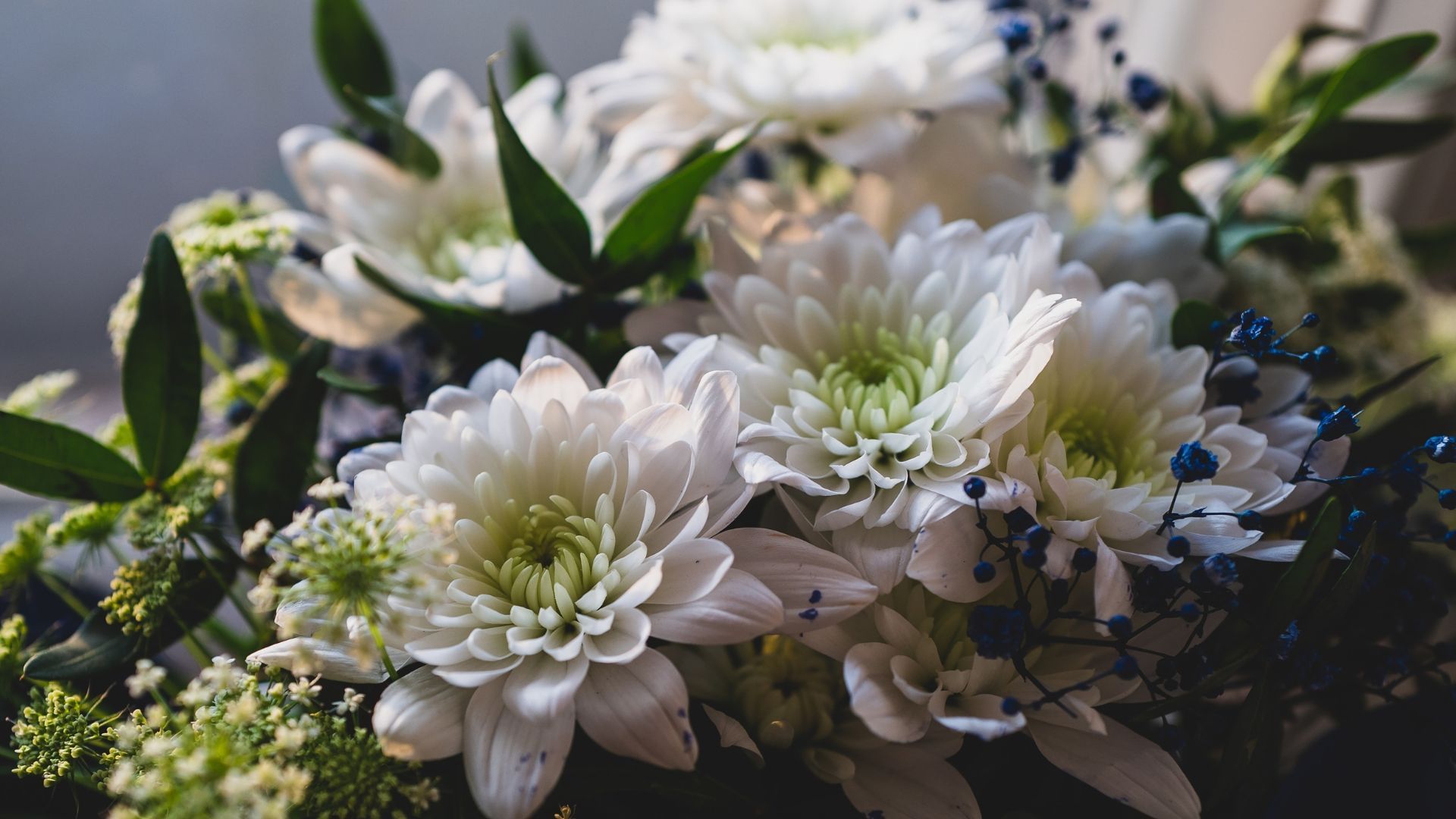 Do you want to make a posy for a funeral? Follow our method for a personal and biodegradable option. Do you want to make a posy for a funeral? Follow our method for a personal and biodegradable option.