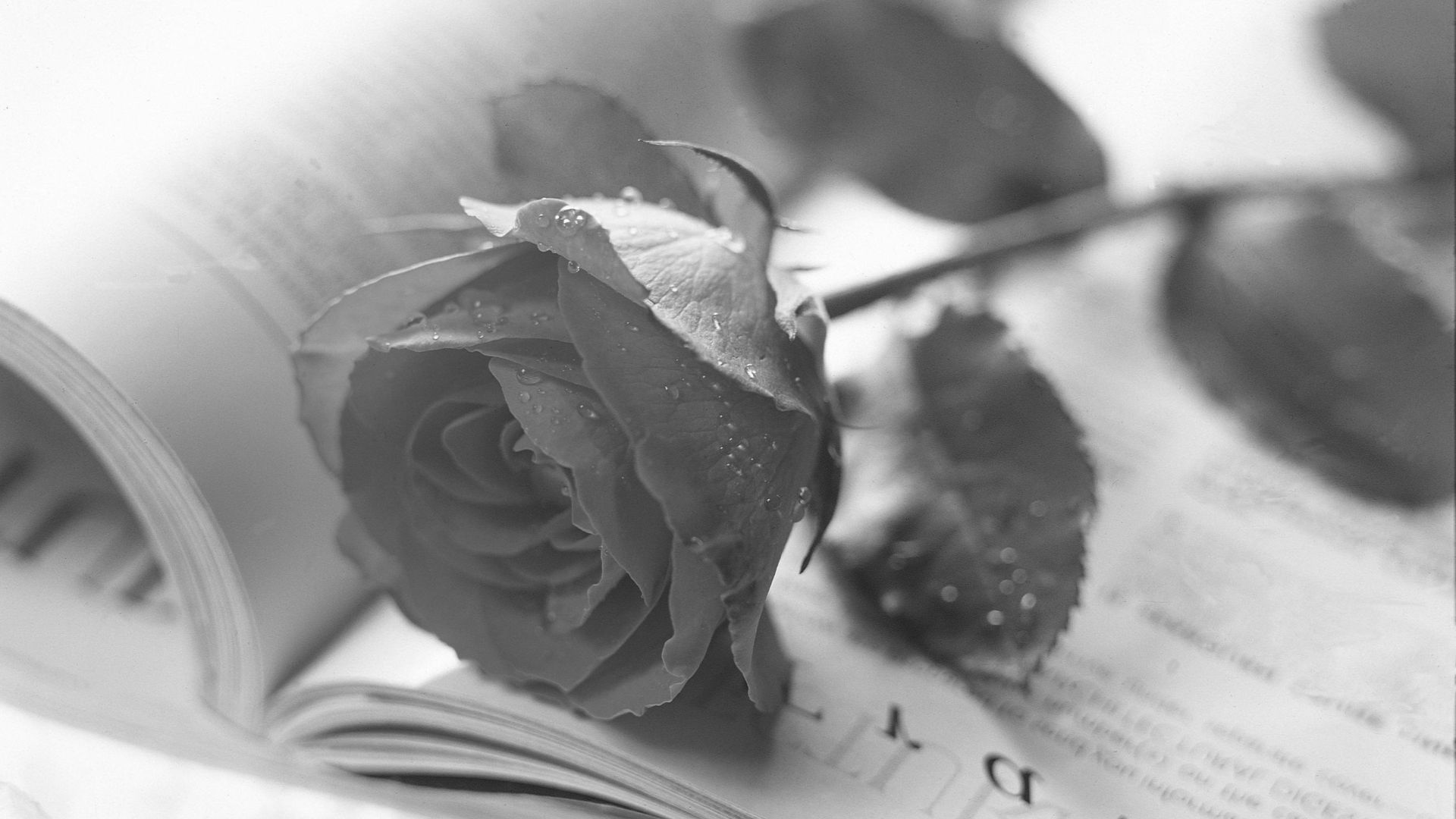 A selection of Irish funeral poems offering reflection and remembrance. Discover timeless words from some of Ireland's best-loved writers. A selection of Irish funeral poems offering reflection and remembrance. Discover timeless words from some of Ireland's best-loved writers.